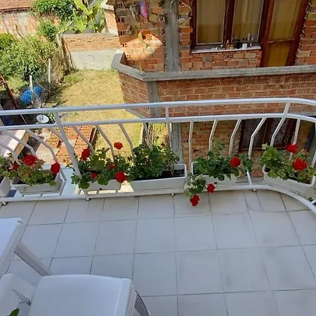 Къща за гости Flora 3*