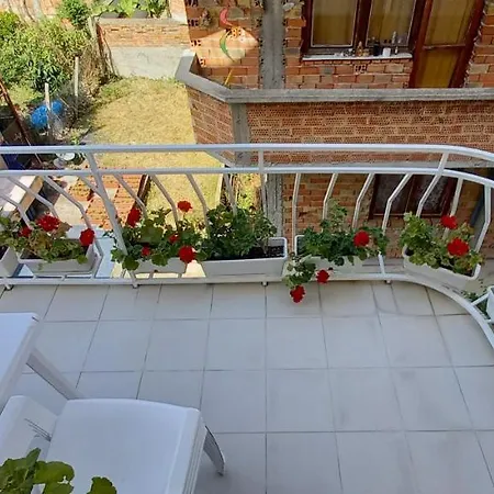 Flora Pensión 3*