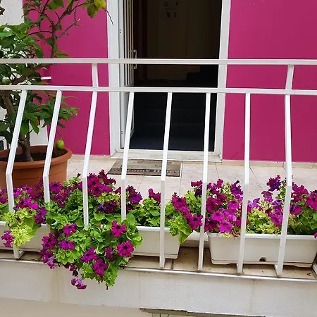 Flora Pensión 3*
