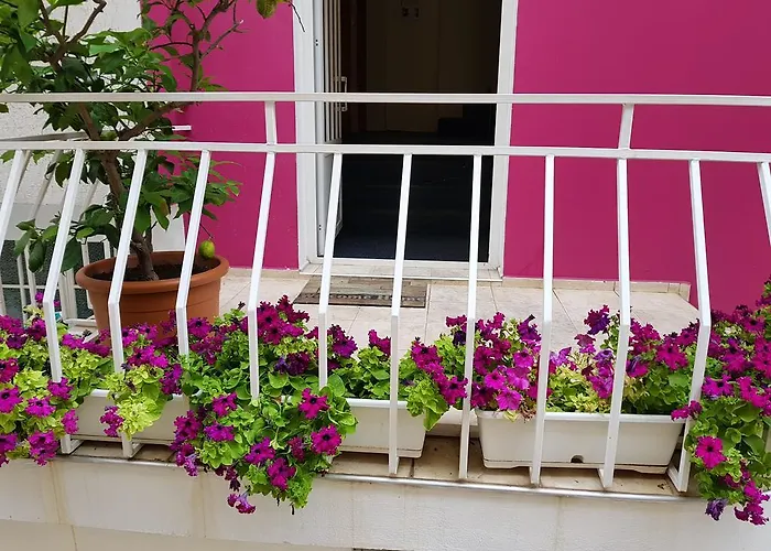 Flora Къща за гости 3*